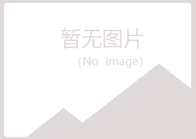 伊春美溪曼山建设有限公司